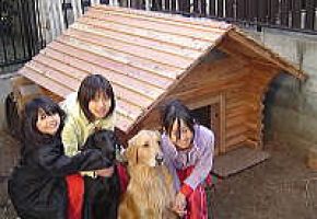 よく暴れる2匹のレトリバー向けに頑丈な校倉タイプの犬小屋を製作しました。